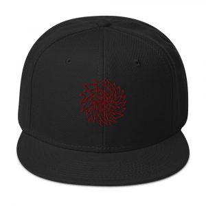 Fractical Twist - Snapback Hat