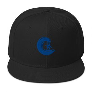 Fractical Twist - Snapback Hat