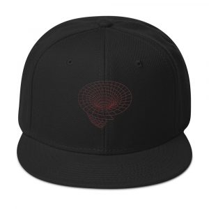 Vortex - Snapback Hat